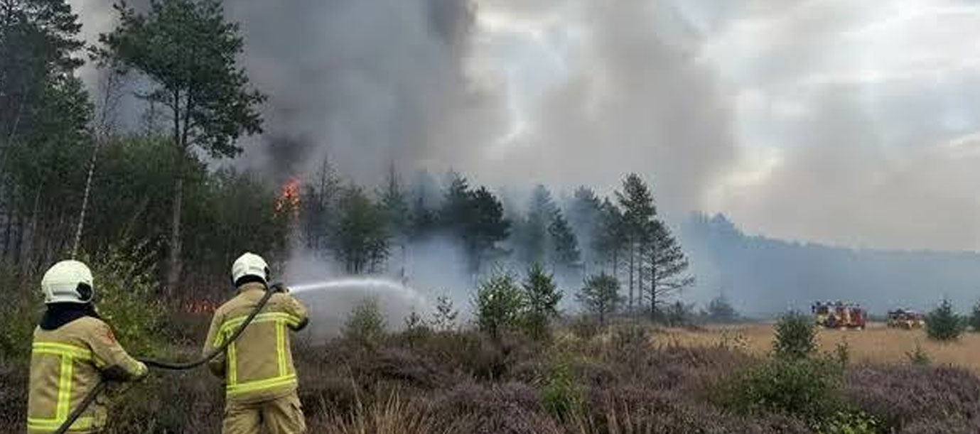 Foto: Bélgica enfrenta incendio histórico/Cortesía