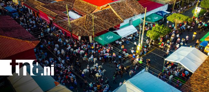 Foto: Espectacular desfile hípico en Granada: Más de 4 mil caballistas se toman la Gran Sultana/TN8