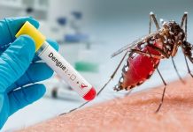 Nicaragua y países de Centroamérica presentan cifras acumuladas de dengue Foto: Nicaragua y países de Centroamérica presentan cifras acumuladas de dengue/Cortesía