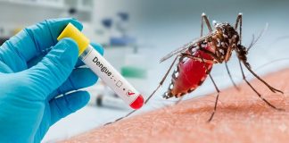 Foto: Nicaragua y países de Centroamérica presentan cifras acumuladas de dengue/Cortesía
