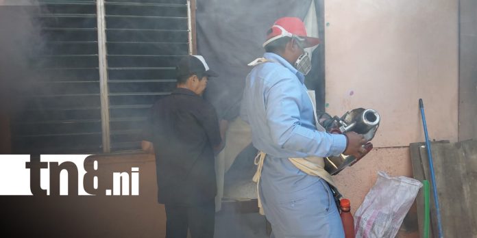 Foto: MINSA intensifica la prevención contra enfermedades transmitidas por mosquitos en Managua/TN8