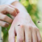 Foto: Europa en alerta por expansión del virus del Nilo Occidental y mosquito tigre/Cortesía