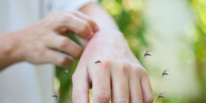 Foto: Europa en alerta por expansión del virus del Nilo Occidental y mosquito tigre/Cortesía