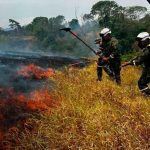 Foto: Emergencia ambiental en Colombia: incendios arrasan miles de hectáreas/Cortesía