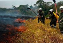 Colombia bajo fuego: sequía y altas temperaturas agravan la emergencia Foto: Emergencia ambiental en Colombia: incendios arrasan miles de hectáreas/Cortesía