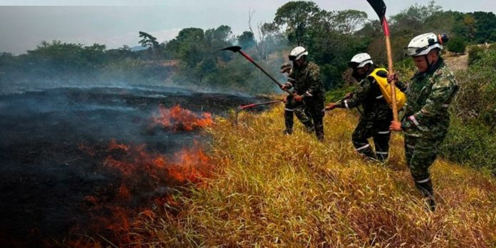 1 Foto: Emergencia ambiental en Colombia: incendios arrasan miles de hectáreas/Cortesía