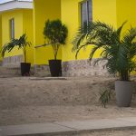 Foto: Nuevas Victorias abre las puertas de un nuevo hogar para 147 familias de Estelí / TN8