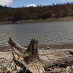 Foto: El Niño agrava la sequía en Honduras y amplía la alerta roja/Cortesía