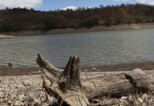 Más municipios entran en alerta roja por la falta de lluvias en Honduras Foto: El Niño agrava la sequía en Honduras y amplía la alerta roja/Cortesía