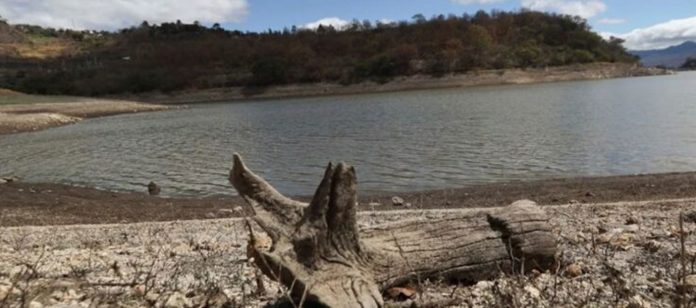 Foto: El Niño agrava la sequía en Honduras y amplía la alerta roja/Cortesía
