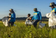 Foto: Brasil fortalece protección ambiental/Cortesía