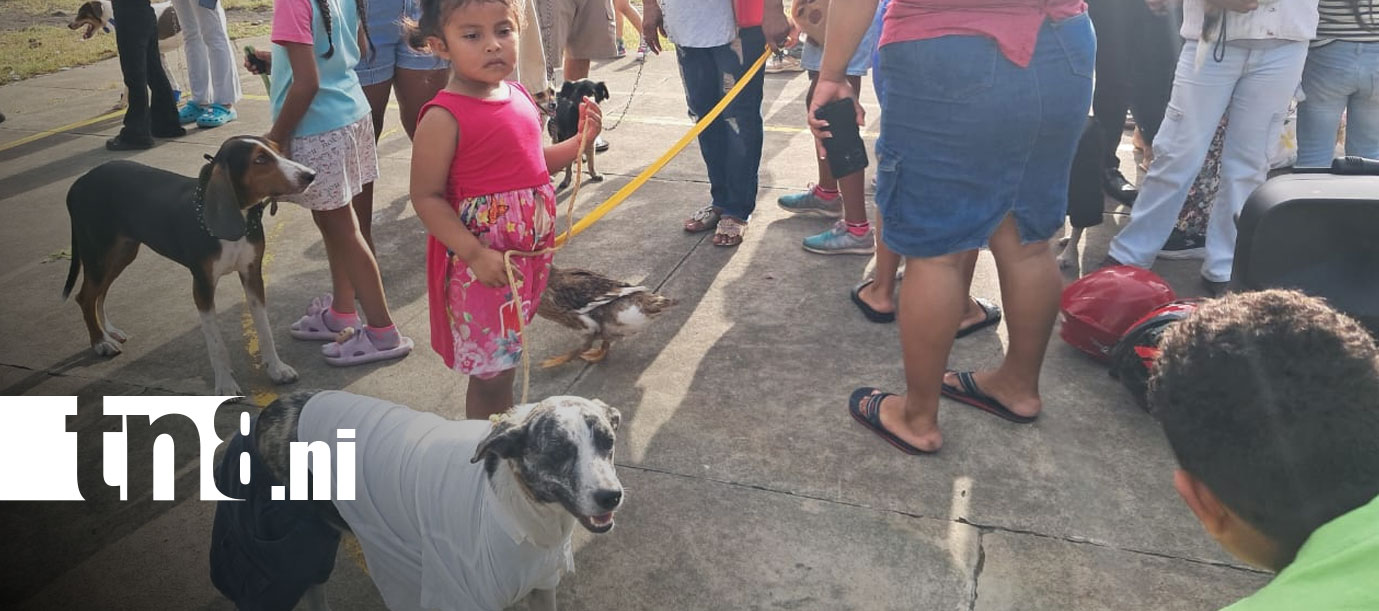 Foto: Familias de La Flor disfrutan desfile de mascotas en Ometepe/TN8