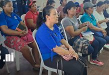 Emprendedores de Ometepe fortalecen sus conocimientos para mejorar sus productos Foto: Emprendedores de Ometepe fortalecen sus conocimientos para mejorar sus productos/TN8