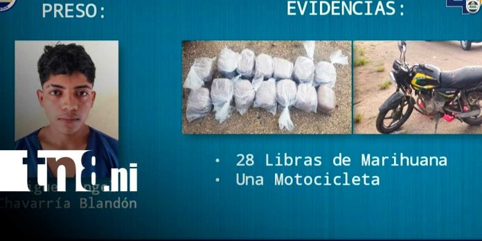 1 Foto: Golpe al narco en Nueva Segovia / TN8