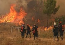 Más de 520 bomberos luchan contra incendios que mantienen en alerta a Grecia Foto: Grecia lucha contra incendios forestales que amenazan zonas cercanas a Atenas/Cortesía