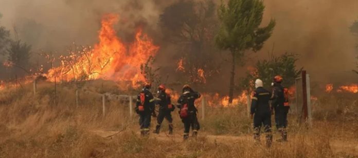 Foto: Grecia lucha contra incendios forestales que amenazan zonas cercanas a Atenas/Cortesía Foto: Grecia lucha contra incendios forestales que amenazan zonas cercanas a Atenas/Cortesía