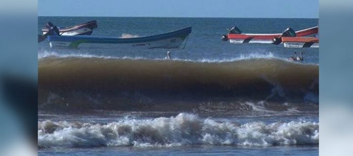 Foto: Bajas presiones obligan a cancelar zarpes en el Caribe de Nicaragua/Cortesía Foto: Bajas presiones obligan a cancelar zarpes en el Caribe de Nicaragua/Cortesía