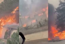 Foto: Incendio arrasa viviendas en Washington/Cortesía