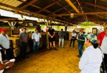 Industria forestal fortalece producción sostenible en Boaco Producción sostenible de madera avanza en Boaco