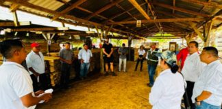 Producción sostenible de madera avanza en Boaco