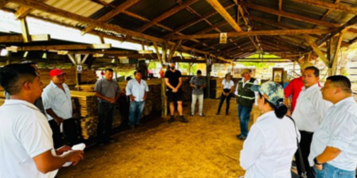 Producción sostenible de madera avanza en Boaco