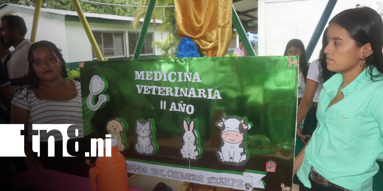 Foto: Feria agrícola y jornada deportiva destacan el Día del Veterinario en Siuna/Tn8