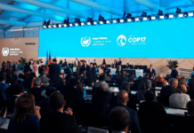 Nicaragua lleva su voz a Mongolia para abordar la desertificación y la sequía Foto: Nicaragua lleva su voz a Mongolia para abordar la desertificación y la sequía /Cortesía