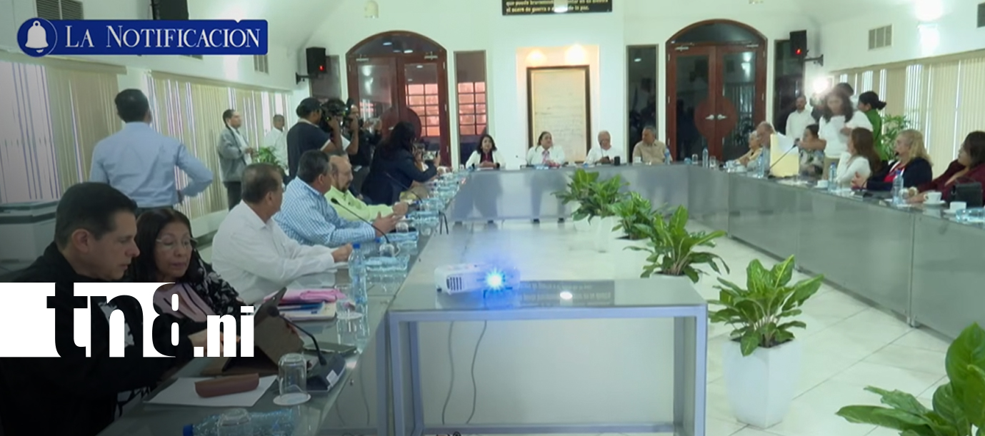 Foto: Nuevas reformas constitucionales fortalecen el modelo electoral en Nicaragua/TN8
