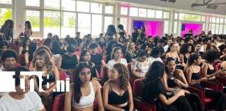 Foto: Jóvenes buscan conquistar las pasarelas /TN8