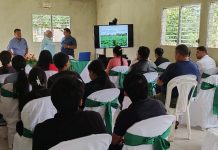 Productoras del Caribe Sur fortalecen conocimientos para agregar valor a la yuca Foto: Productoras del Caribe Sur fortalecen conocimientos para agregar valor a la yuca/Cortesía