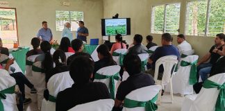 Foto: Productoras del Caribe Sur fortalecen conocimientos para agregar valor a la yuca/Cortesía