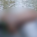 Tras tres días de búsqueda, encuentran sin vida a joven arrastrado por el río La Patriota Foto: Tras tres días de búsqueda, encuentran sin vida a joven arrastrado por el río La Patriota/TN8