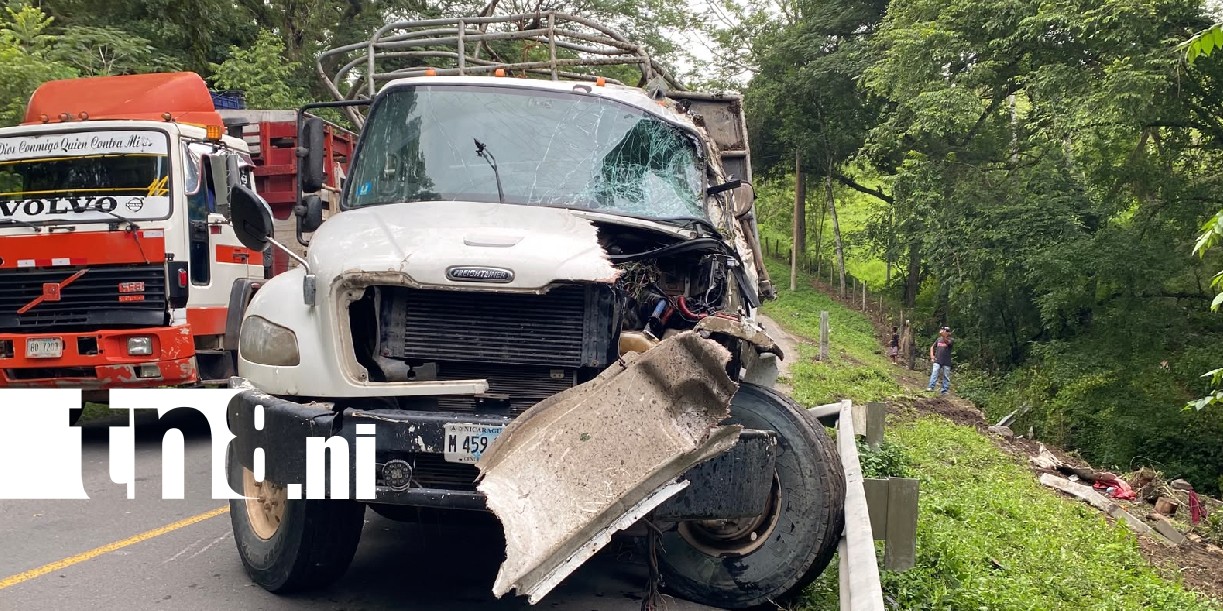 Foto: Ganado muerto y lesionados tras accidente en Muy Muy/TN8