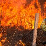Incendio forestal fuera de control obliga a evacuar a 20.000 personas en Canadá Foto: Incendio forestal fuera de control obliga a evacuar a 20.000 personas en Canadá / Cortesía