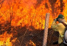 Incendio forestal fuera de control obliga a evacuar a 20.000 personas en Canadá Foto: Incendio forestal fuera de control obliga a evacuar a 20.000 personas en Canadá / Cortesía