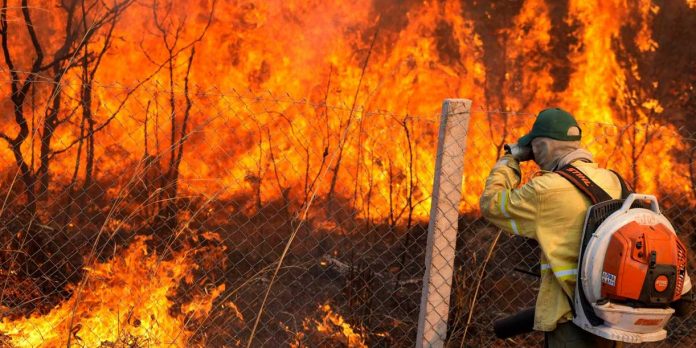 2 Foto: Incendio forestal fuera de control obliga a evacuar a 20.000 personas en Canadá / Cortesía