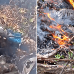 No hay sobrevivientes: helicóptero se estrella en Kenia y deja siete muertos Foto: Helicóptero con seis turistas se estrella en Kenia /Cortesía