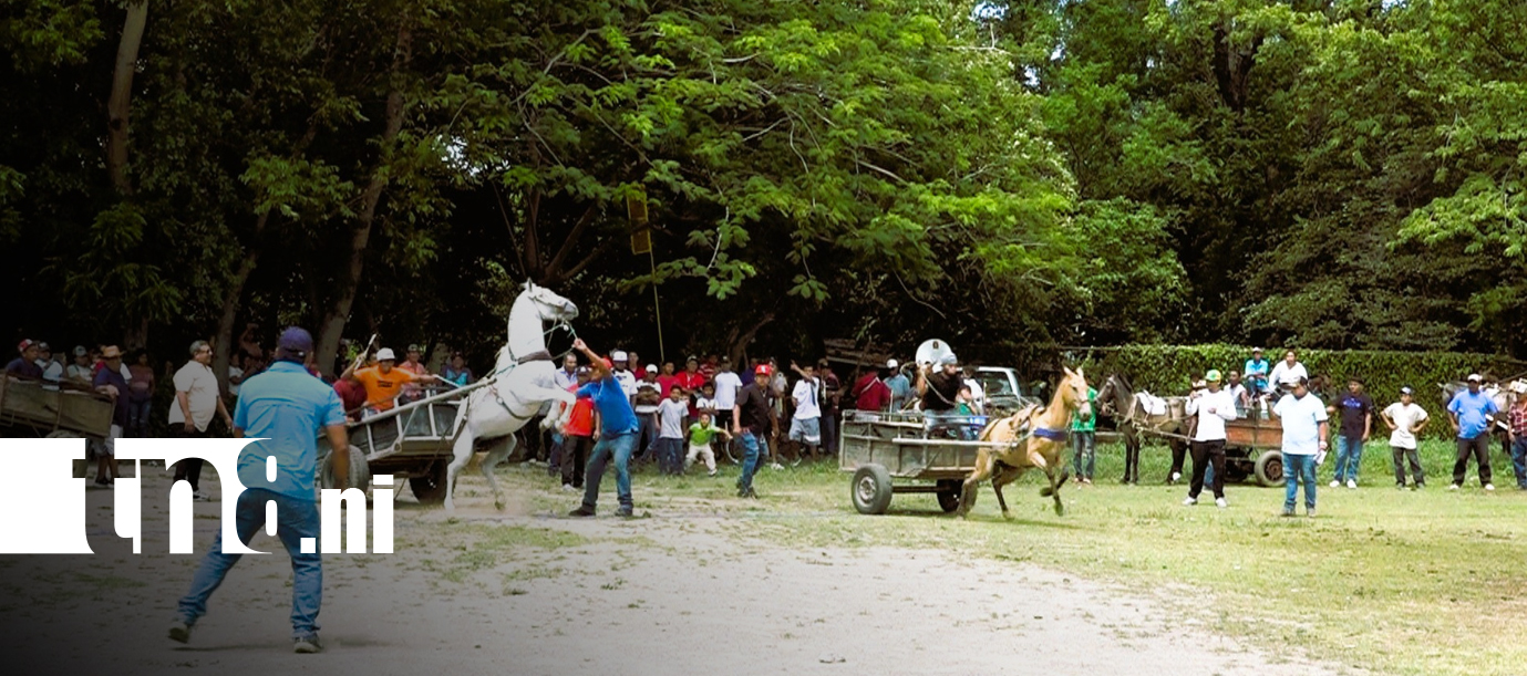 Foto: Nandaime vive la emoción de su carrera de carretones/TN8