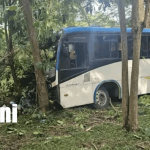 Foto: Bus Managua - Peñas Blancas se estrella contra un árbol /TN8