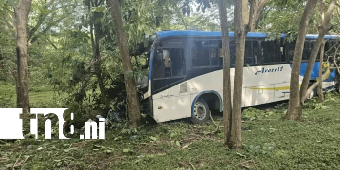 Foto: Bus Managua - Peñas Blancas se estrella contra un árbol /TN8
