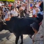 Foto: Hombre lucha por su vida tras cornada en Granada/TN8