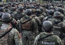 México lanza ofensiva contra la extorsión tras suspensión de exportaciones de aguacate Foto: México refuerza seguridad tras suspensión de exportaciones /Cortesía