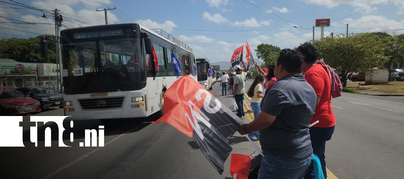 Foto: ¡León recibe 60 nuevos buses Yutong!/TN8