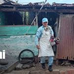 Más de mil viviendas bajo vigilancia en jornada contra el mosquito en Managua Foto: Managua refuerza ofensiva contra el mosquito transmisor del dengue/TN8