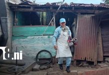 Más de mil viviendas bajo vigilancia en jornada contra el mosquito en Managua Foto: Managua refuerza ofensiva contra el mosquito transmisor del dengue/TN8