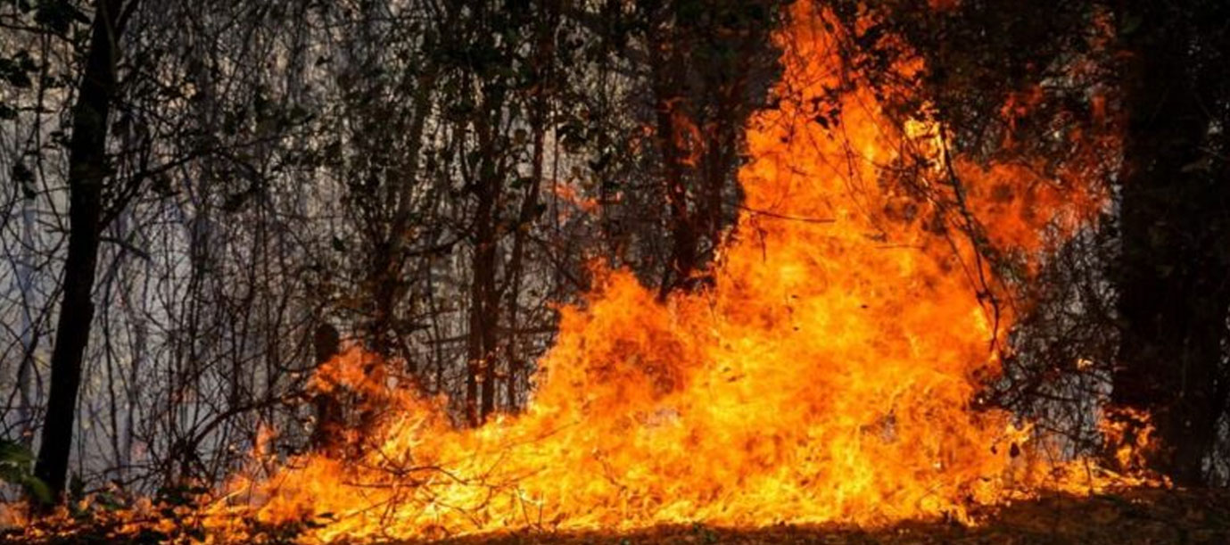 Foto: Colombia, en alerta por incendios/Cortesía