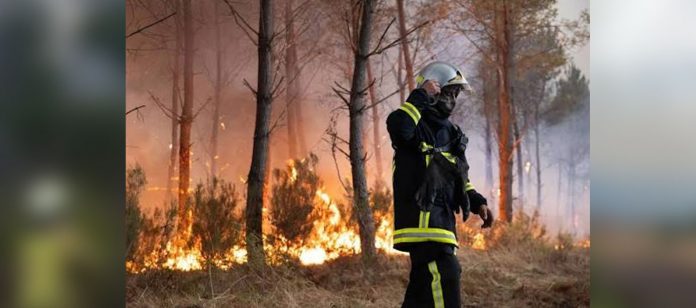 Foto: Bélgica enfrenta incendio histórico/Cortesía