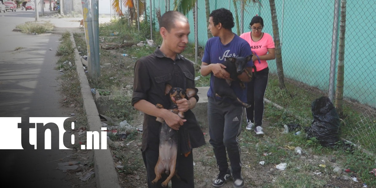 Foto:Estelí va contra la rabia: más de 34 mil perros serán vacunados/TN8