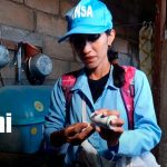 MINSA fumiga más de 350 viviendas en Managua para frenar el dengue Foto: MINSA intensifica lucha contra el dengue con fumigación en más de 350 viviendas/TN8