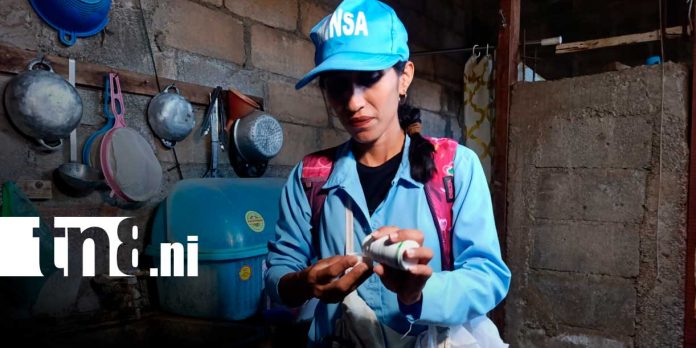 Foto: MINSA intensifica lucha contra el dengue con fumigación en más de 350 viviendas/TN8 Foto: MINSA intensifica lucha contra el dengue con fumigación en más de 350 viviendas/TN8